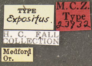 Media type: image;   Entomology 23932 Aspect: labels